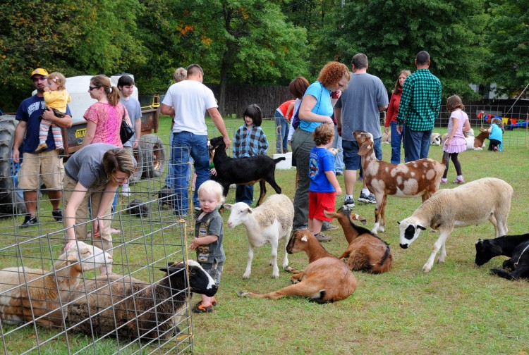 Enjoying the animals at the petting zoo during the Hay Day Celebration. Photo courtesy Allegheny County.